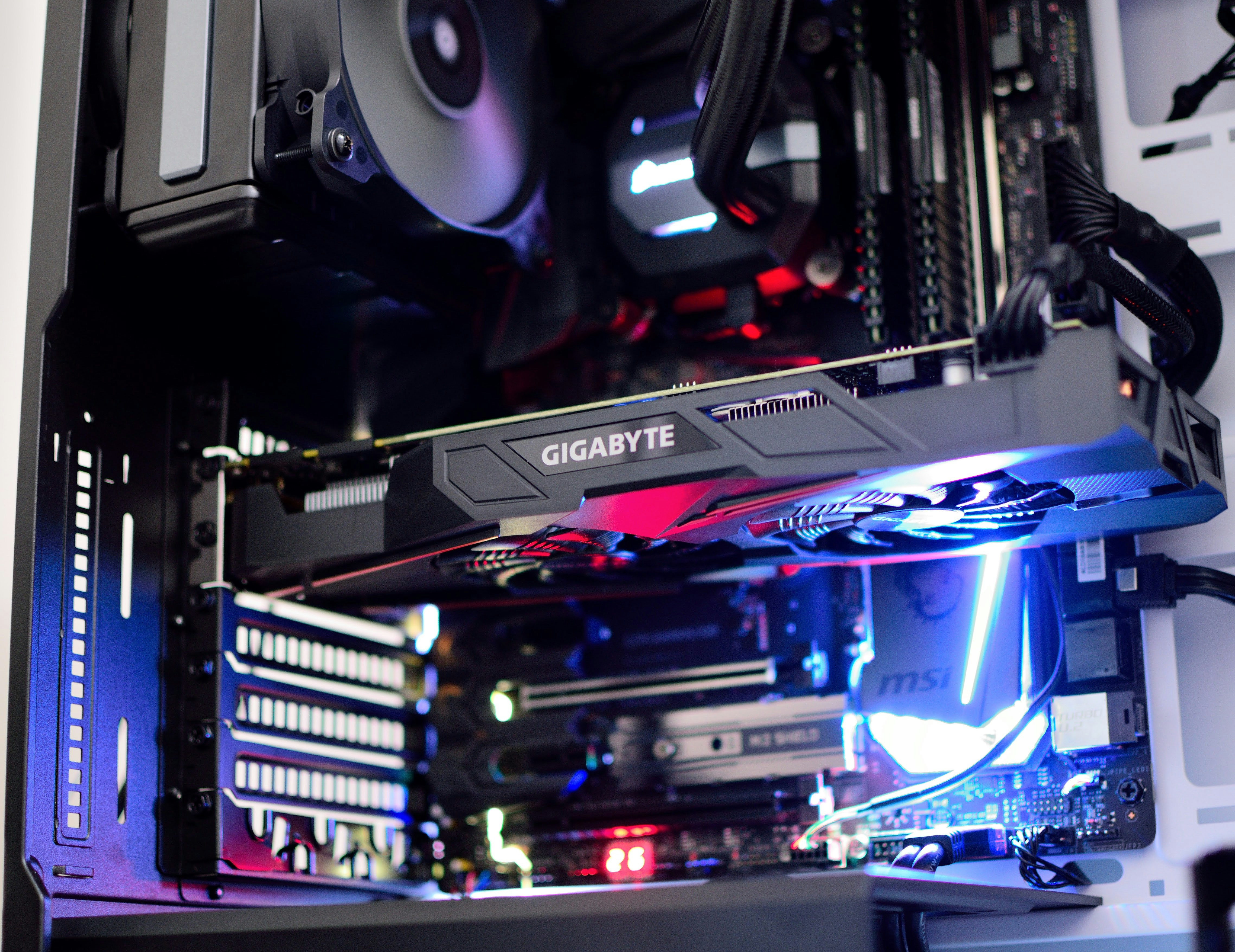 Graphics Card (GPU)
