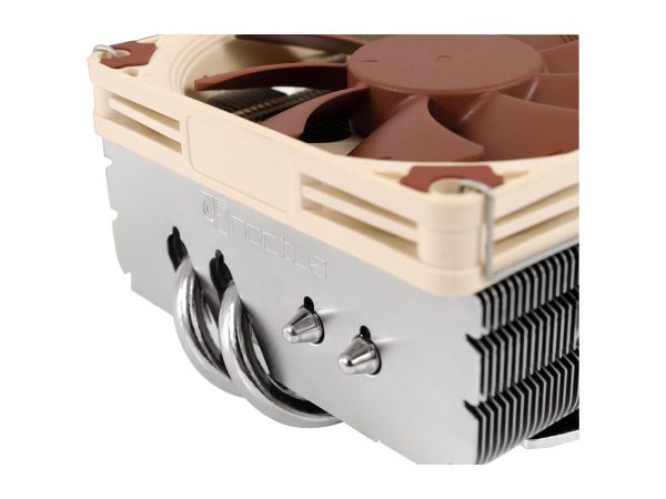 Noctua