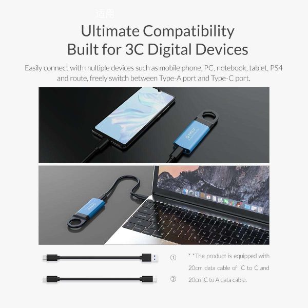 ORICO 256GB Extreme Portable External M.2 Nvme SSD Mini External Solid State Drive with NVMe Interface USB C 3.1 10Gbps Solid State Drive (GV100 Blue)
