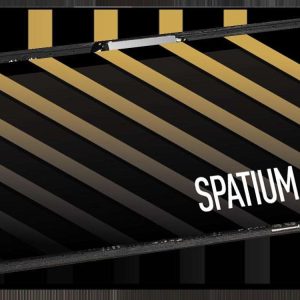 MSI SPATIUM Series M.2 2280 1TB - 1TB M460