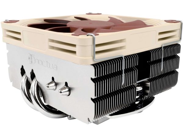 Noctua