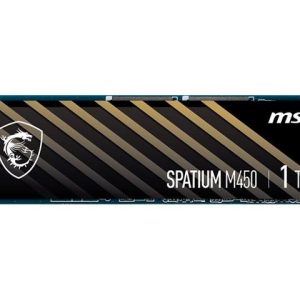 MSI SPATIUM Series M.2 2280 1TB