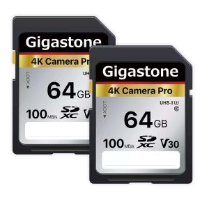 GIGASTONE 16GB SD Card UHS-I U1 Class 10 SDHC Memory Card High-Speed Full HD Video Canon Nikon Sony Pentax Kodak Olympus Panasonic Digital Camera - 64GB,4K Camera Pro,2-Pack