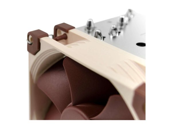 Noctua