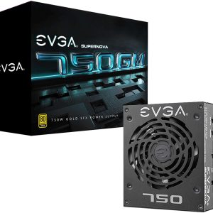 EVGA SuperNOVA 750 GM 750 W Full Modular 80 PLUS GOLD Certified - SFX 80+ Gold (750W)