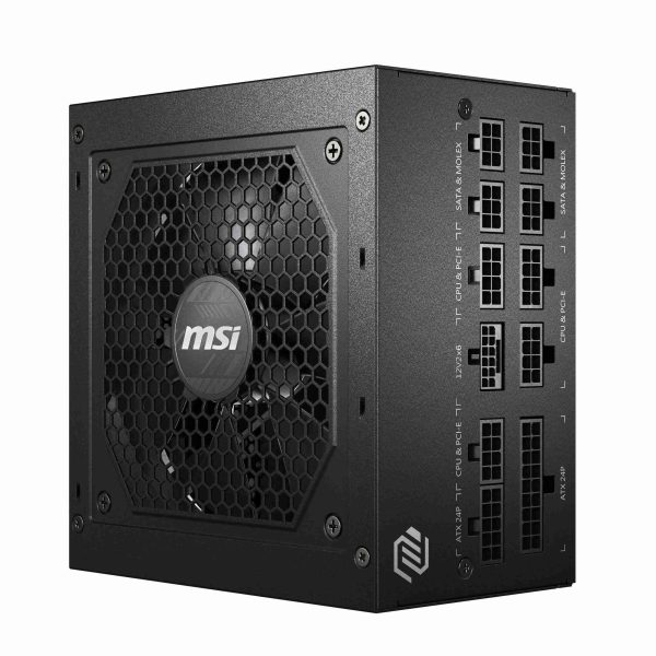 MSI 850 W Full Modular 80 PLUS GOLD Certified