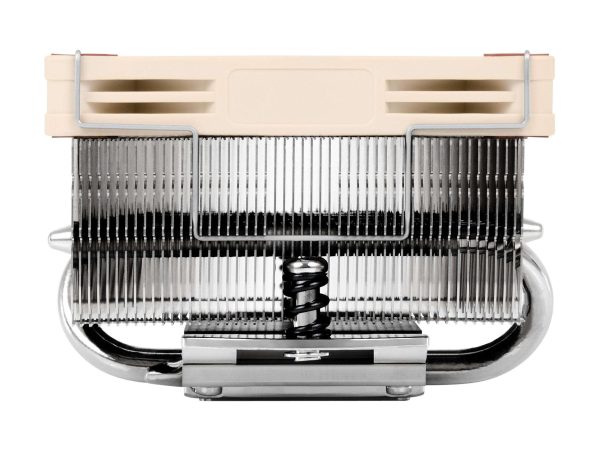 Noctua