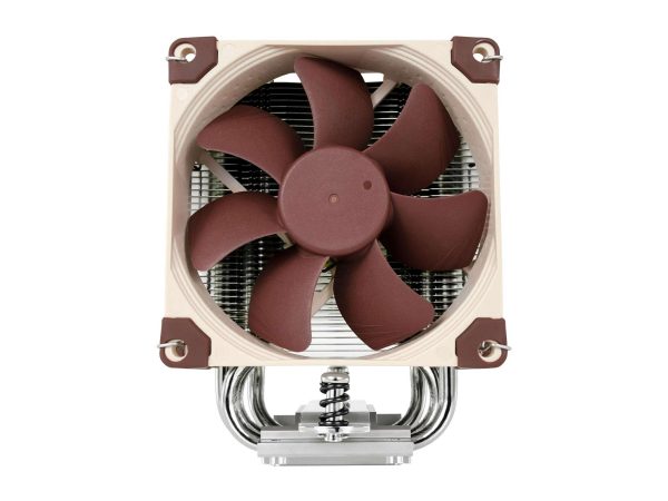 Noctua