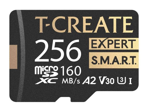 SD Card - 256GB