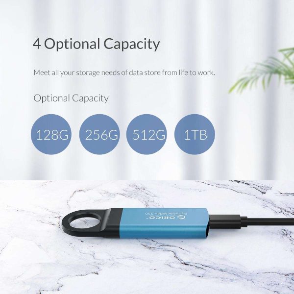 ORICO 256GB Extreme Portable External M.2 Nvme SSD Mini External Solid State Drive with NVMe Interface USB C 3.1 10Gbps Solid State Drive (GV100 Blue)