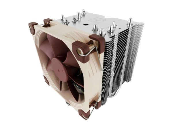 Noctua