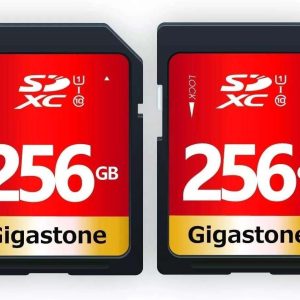 GIGASTONE 16GB SD Card UHS-I U1 Class 10 SDHC Memory Card High-Speed Full HD Video Canon Nikon Sony Pentax Kodak Olympus Panasonic Digital Camera - 256GB,Full HD Video,2-Pack
