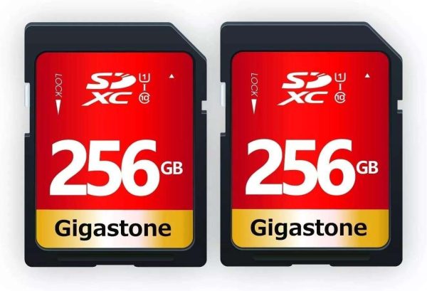 GIGASTONE 16GB SD Card UHS-I U1 Class 10 SDHC Memory Card High-Speed Full HD Video Canon Nikon Sony Pentax Kodak Olympus Panasonic Digital Camera - 256GB,Full HD Video,2-Pack