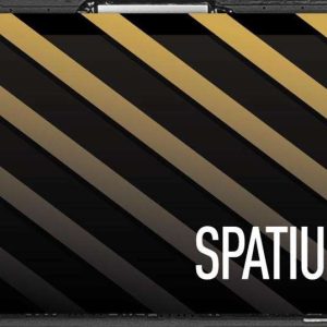 MSI SPATIUM Series M.2 2280 1TB - 4TB M461