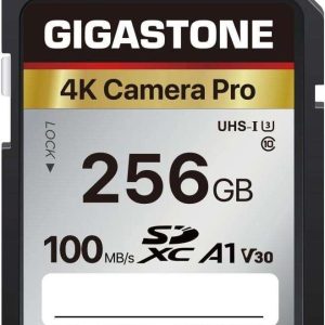 GIGASTONE 16GB SD Card UHS-I U1 Class 10 SDHC Memory Card High-Speed Full HD Video Canon Nikon Sony Pentax Kodak Olympus Panasonic Digital Camera - 256GB,4K Camera Pro,1-Pack
