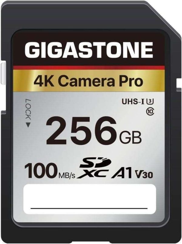 GIGASTONE 16GB SD Card UHS-I U1 Class 10 SDHC Memory Card High-Speed Full HD Video Canon Nikon Sony Pentax Kodak Olympus Panasonic Digital Camera - 256GB,4K Camera Pro,1-Pack