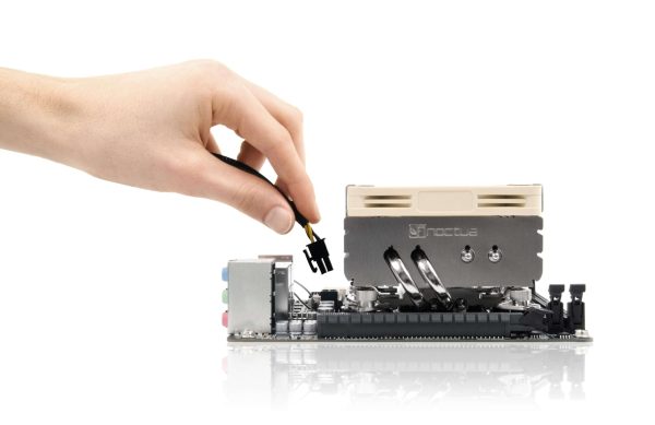 Noctua