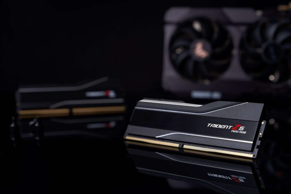 G.SKILL Trident Z5 Neo RGB Series 64GB (2 x 32GB) DDR5 6000 (PC5 48000)